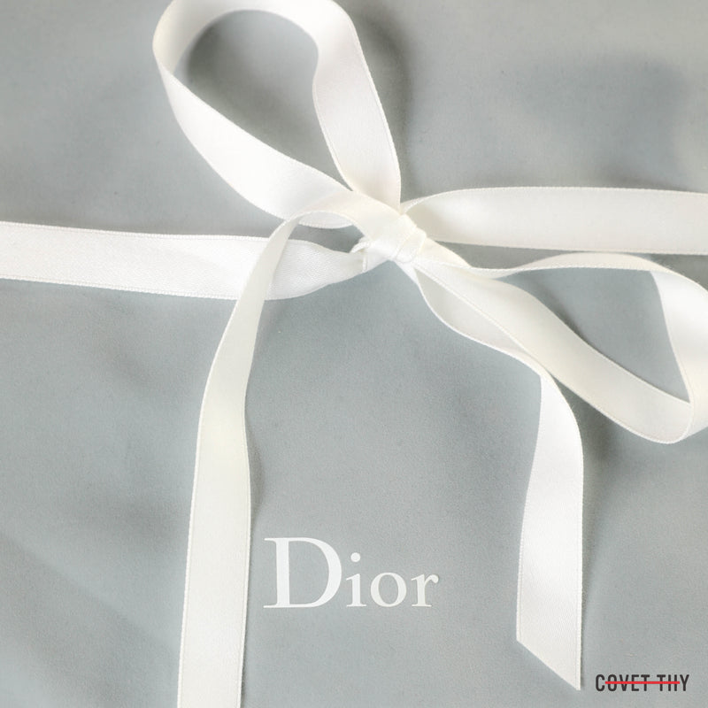 Dior Rhinestone Belt, Multicolor with Original Pouch